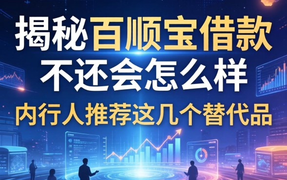 揭秘百顺宝借款不还会怎么样,内行人推荐这几个替代品