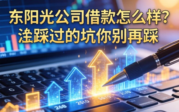 东阳光公司借款怎么样？我踩过的坑你别再踩