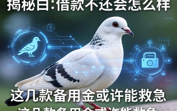 揭秘白鸽借款不还会怎么样，这几款备用金或许能救急