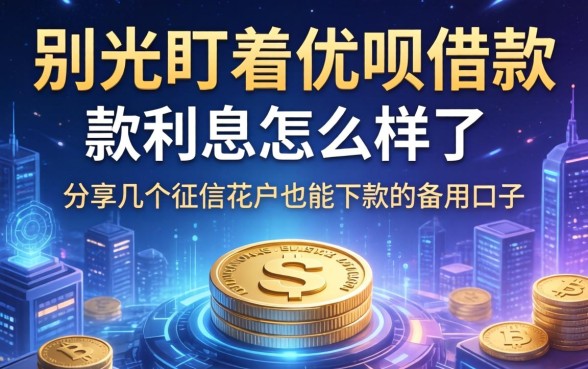 别光盯着优呗借款利息怎么样了，分享几个征信花户也能下款的备用口子