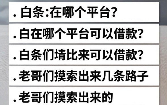 白条在哪个平台可以借款?老哥们摸索出来的几条路子