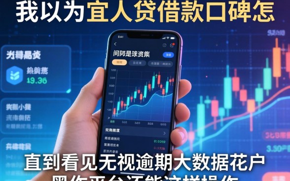我以为宜人贷借款口碑怎么样是关键，直到看见无视逾期大数据花户黑户平台还能这样操作