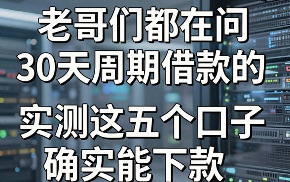 老哥们都在问30天周期借款的有哪些,实测这五个口子确实能下款