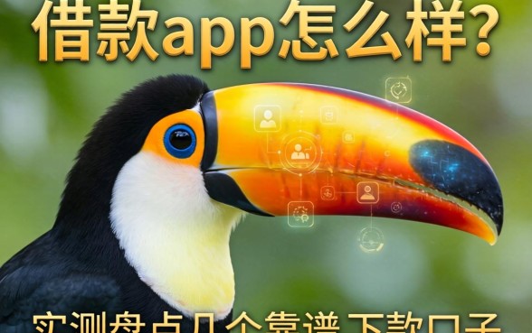 大嘴鸟借款app怎么样？实测盘点几个靠谱的下款口子
