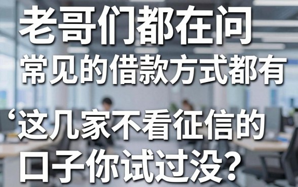 老哥们都在问常见的借款方式都有哪些,这几家不看征信的口子你试过没?