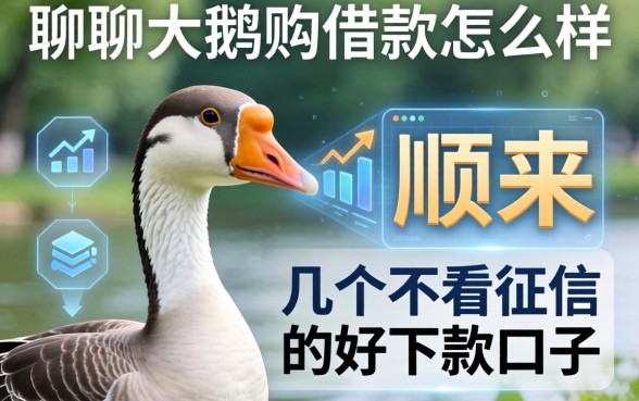 聊聊大鹅购借款怎么样，顺带分享几个不看征信的好下款口子