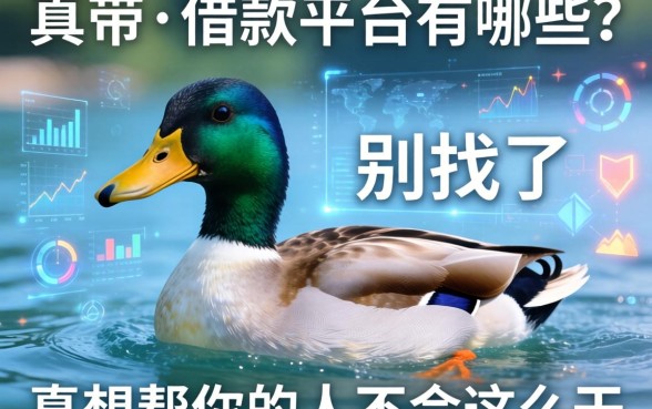 带鸭的借款平台有哪些？别找了，真想帮你的人不会这么干