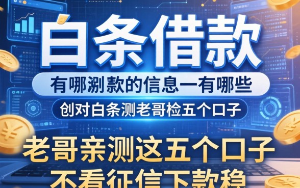 白条借款的信息有哪些?老哥亲测这五个口子不看征信下款稳