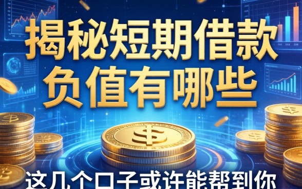 揭秘短期借款负值有哪些情况,这几个口子或许能帮到你