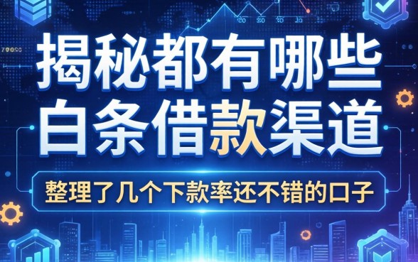 揭秘都有哪些白条借款渠道:整理了几个下款率还不错的口子