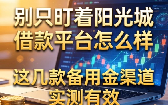 别只盯着阳光城借款平台怎么样，这几款备用金渠道实测有效
