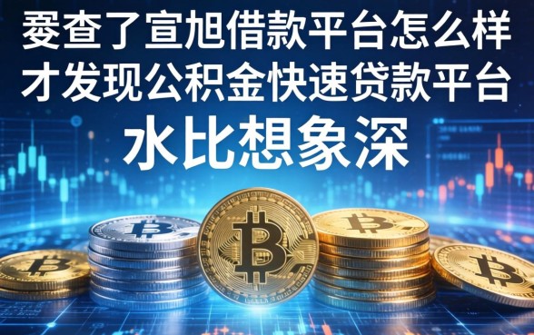 我查了宣旭借款平台怎么样，才发现公积金快速贷款平台的水比想象深
