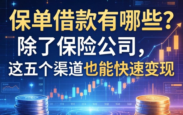 保单借款有哪些？除了保险公司，这五个渠道也能快速变现