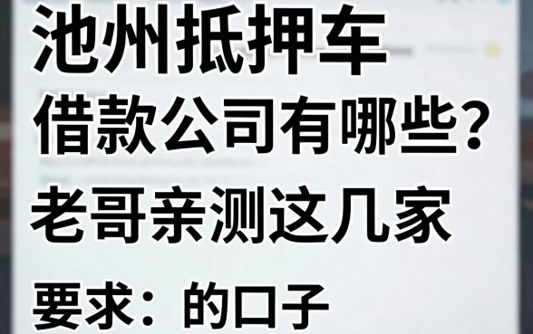 池州抵押车借款公司有哪些？老哥亲测这几家不看征信的口子