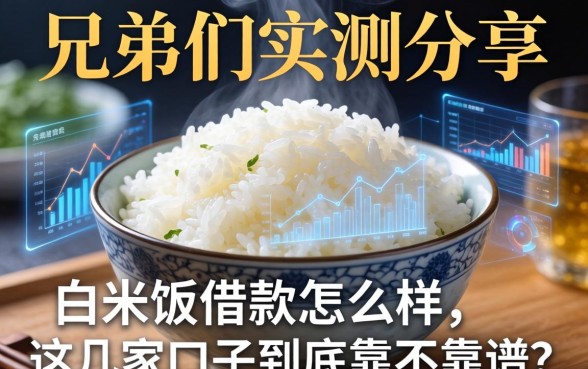 兄弟们实测分享：白米饭借款怎么样，这几家口子到底靠不靠谱？
