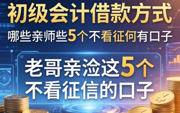 初级会计借款方式有哪些？老哥亲测这5个不看征信的口子