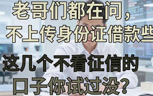 老哥们都在问不上传身份证借款有哪些，这几个不看征信的口子你试过没？