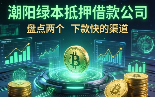 潮阳绿本抵押借款公司有哪些？盘点两个下款快的渠道