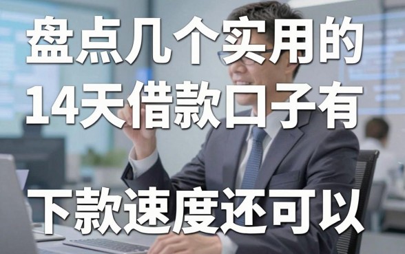 盘点几个实用的14天借款口子有哪些，下款速度还可以