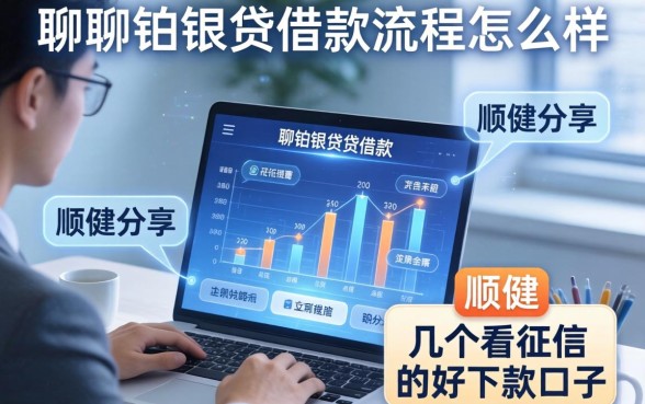 聊聊铂银贷借款流程怎么样，顺便分享几个不看征信的好下款口子