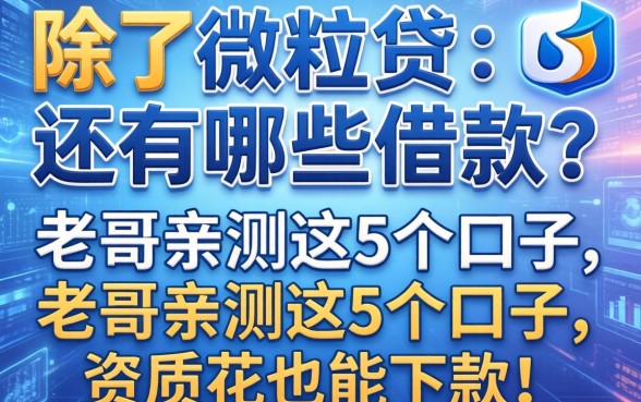 除了微粒贷还有哪些借款?老哥亲测这5个口子,资质花也能下款