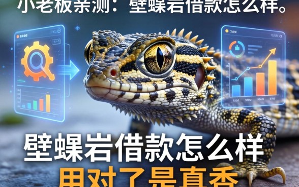 小老板亲测：壁虎岩借款怎么样，用对了是真香