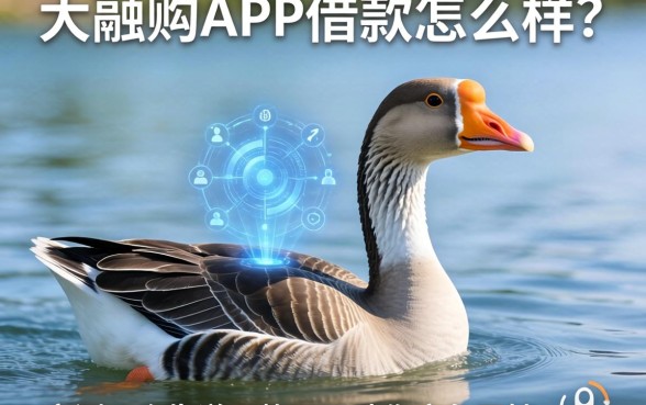 大鹅购APP借款怎么样？实测五个靠谱下款口子助你应急周转