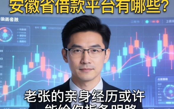 安徽省借款平台有哪些？老张的亲身经历或许能给你指条明路