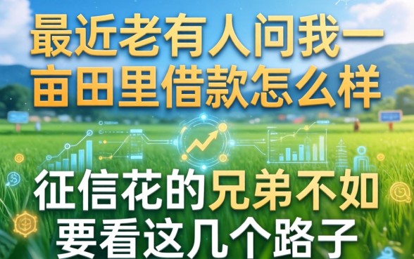 最近老有人问我一亩田里借款怎么样,征信花的兄弟不如看看这几个路子