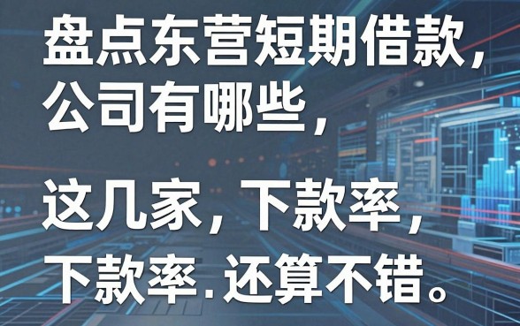 盘点东营短期借款公司有哪些，这几家下款率还算不错
