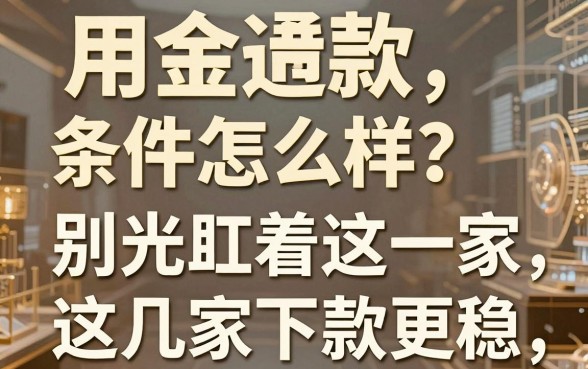 用金通借款条件怎么样?别光盯着这一家,这几家下款更稳