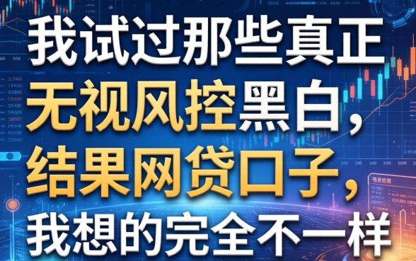 我试过那些真正无视风控黑白的网贷口子,结果和我想的完全不一样