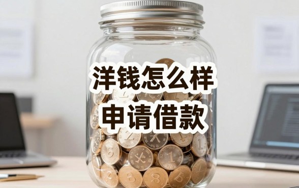 洋钱罐怎么样申请借款，审核被拒后还有哪些容易过的平台推荐？