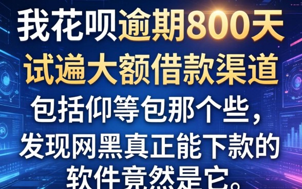 我花呗逾期800天，试遍大额借款渠道包括哪些，发现网黑真正能下款的软件竟然是它