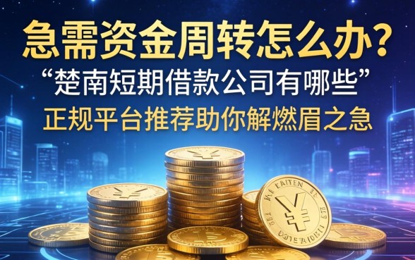急需资金周转怎么办？楚雄短期借款公司有哪些？正规平台推荐助你解燃眉之急