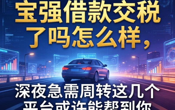 宝强借款交税了吗怎么样，深夜急需周转这几个平台或许能帮到你