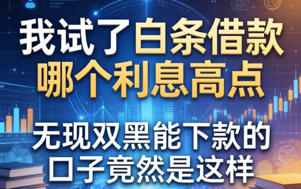 我试了白条借款哪个利息高点,发现无视双黑能下款的口子竟然是这样