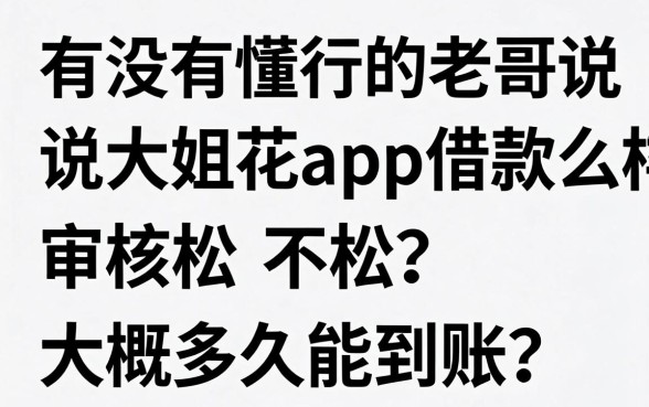 有没有懂行的老哥说说大姐花app借款怎么样？审核松不松，大概多久能到账？