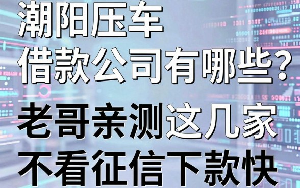 潮阳压车借款公司有哪些？老哥亲测这几家不看征信下款快