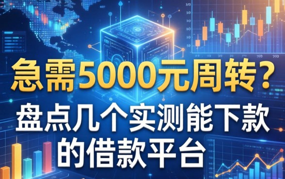 急需5000元周转？盘点几个实测能下款的借款平台