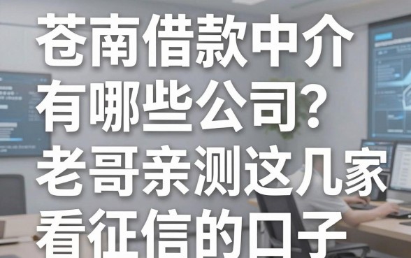 苍南借款中介有哪些公司?老哥亲测这几家不看征信的口子