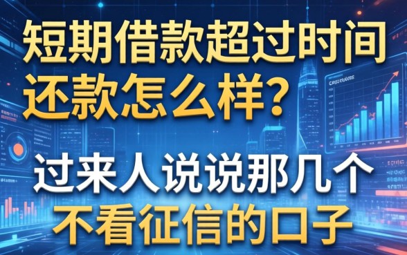 短期借款超过时间还款会怎么样?过来人说说那几个不看征信的口子