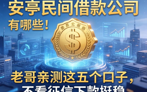 安亭民间借款公司有哪些？老哥亲测这五个口子，不看征信下款挺稳