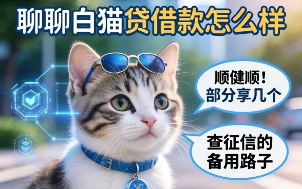 聊聊白猫贷借款怎么样,顺便分享几个不查征信的备用路子