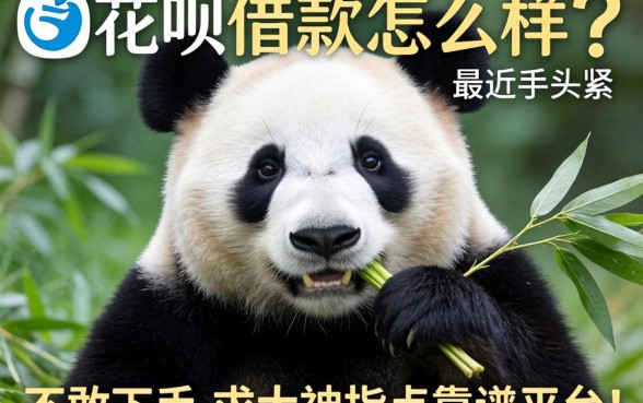 熊猫花呗借款怎么样?最近手头紧看到广告不敢下手,求大神指点靠谱平台!