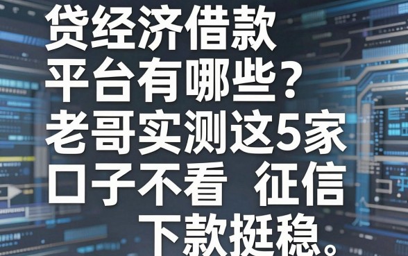 贷经济借款平台有哪些?老哥实测这5家口子不看征信下款挺稳