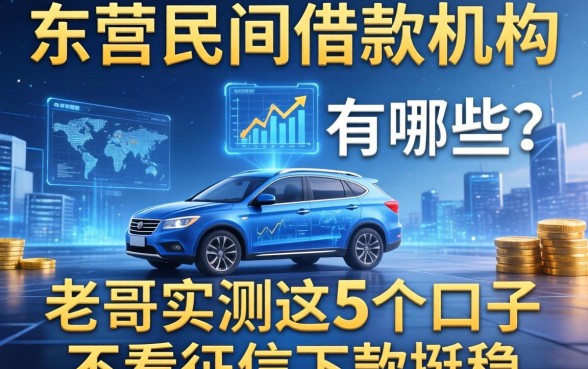 东营民间借款机构有哪些？老哥实测这5个口子不看征信下款挺稳