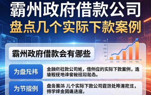 霸州政府借款公司有哪些?盘点几个实际下款案例