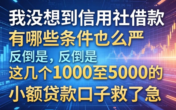 我没想到信用社借款有哪些条件这么严,反倒是这几个1000至5000的小额贷款口子救了急
