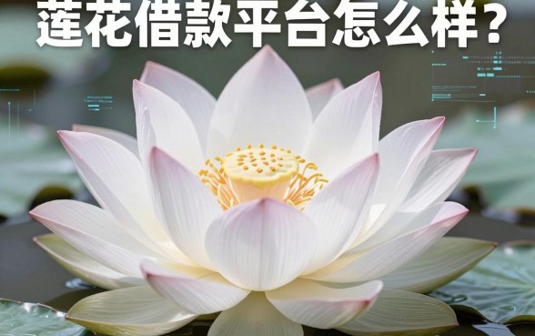 白莲花借款平台怎么样？实测这十个渠道或许能解燃眉之急